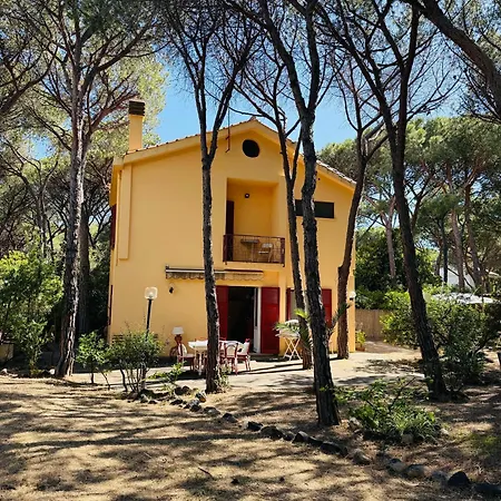 50m From A Stunning, Exclusive Coastal - 4 Bedrooms House *
